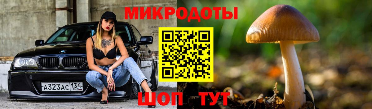 Псилоцибиновые грибы Magic Shrooms  где найти наркотики  Вход с VPN  Сегежа  Псилоцибиновые грибы MAGIC MUSHROOMS 